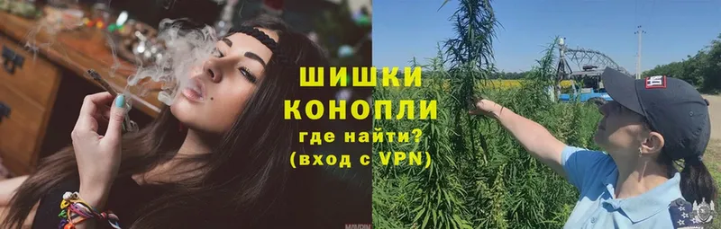 Марихуана OG Kush  Бокситогорск 